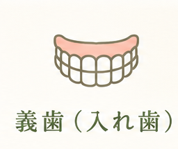 義歯（入れ歯）